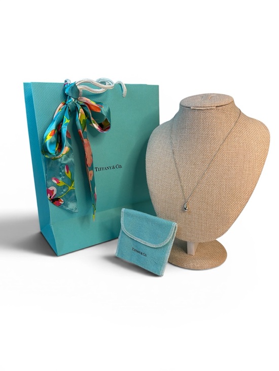 Tiffany & Co. Jewelry - Tiffany & Co. Elsa Peretti sterling silver teardrop pendant necklace & Bag